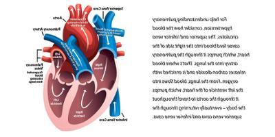 什么是肺动脉高压?